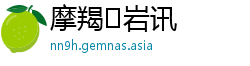 摩羯♑岩讯